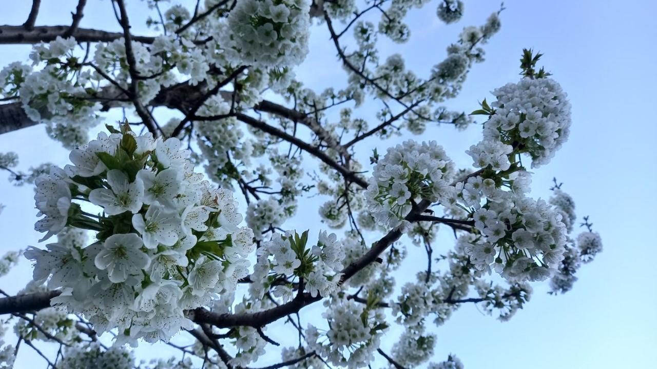 Sisian Baleni 아파트 외부 사진
