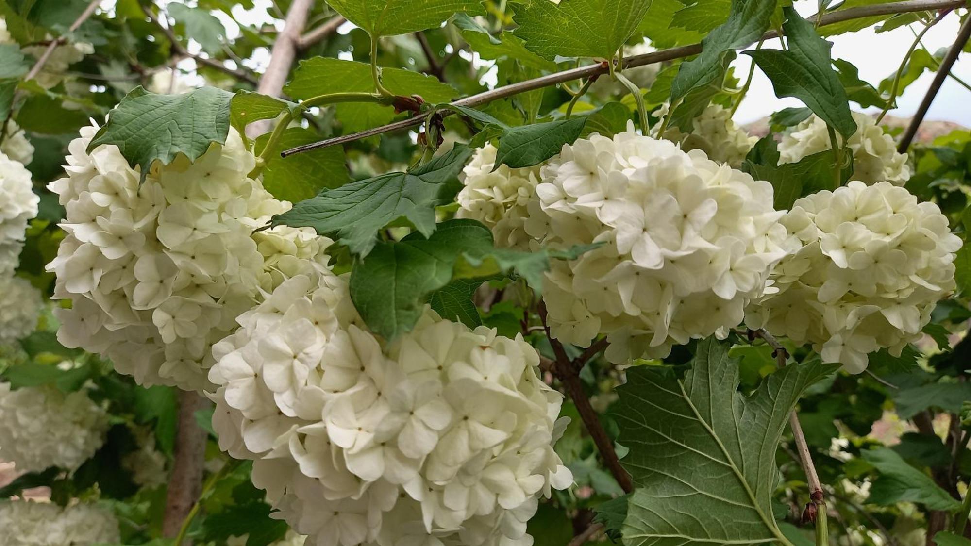 Sisian Baleni 아파트 외부 사진