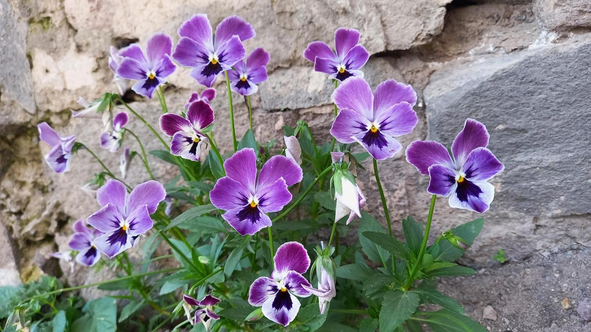 Sisian Baleni 아파트 외부 사진